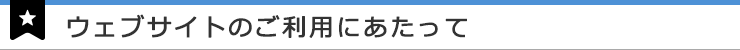 ウェブサイトのご利用にあたって